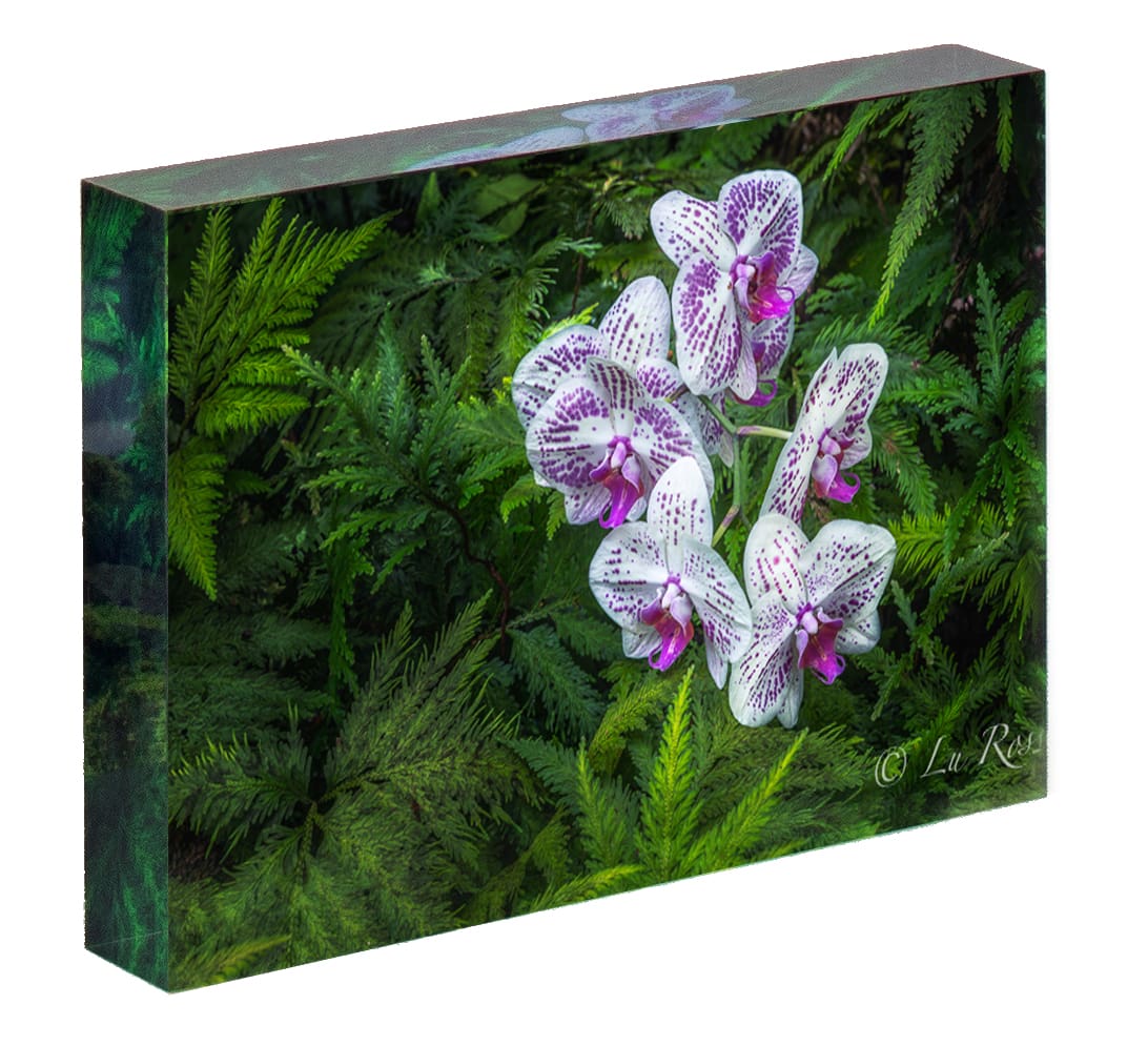 Orchid Acrylic Block