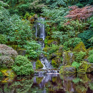Waterfall among green foliage
