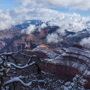 Grand Canyon National Park covered on a Sea of Clouds
