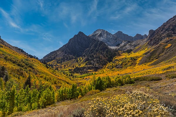 Fall colors in the Eastern Sierras, CA