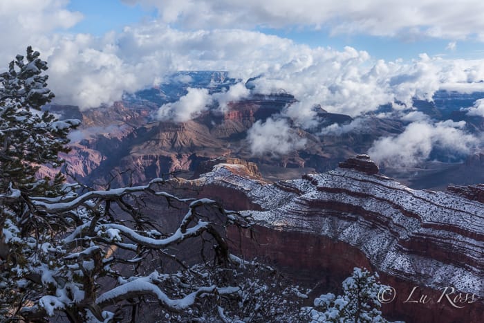 Grand Canyon National Park covered on a Sea of Clouds