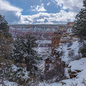 Grand Canyon National Park covered in snow after a blizzard.