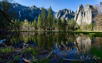 Reflections - Yosemite National Park